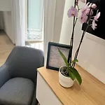 Little Apartment